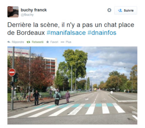 Manifestation du 11 Octobre : entre manipulations et régionalisme
