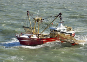 Coup d'arrêt à la pêche électrique Coup d'arrêt à la pêche électrique