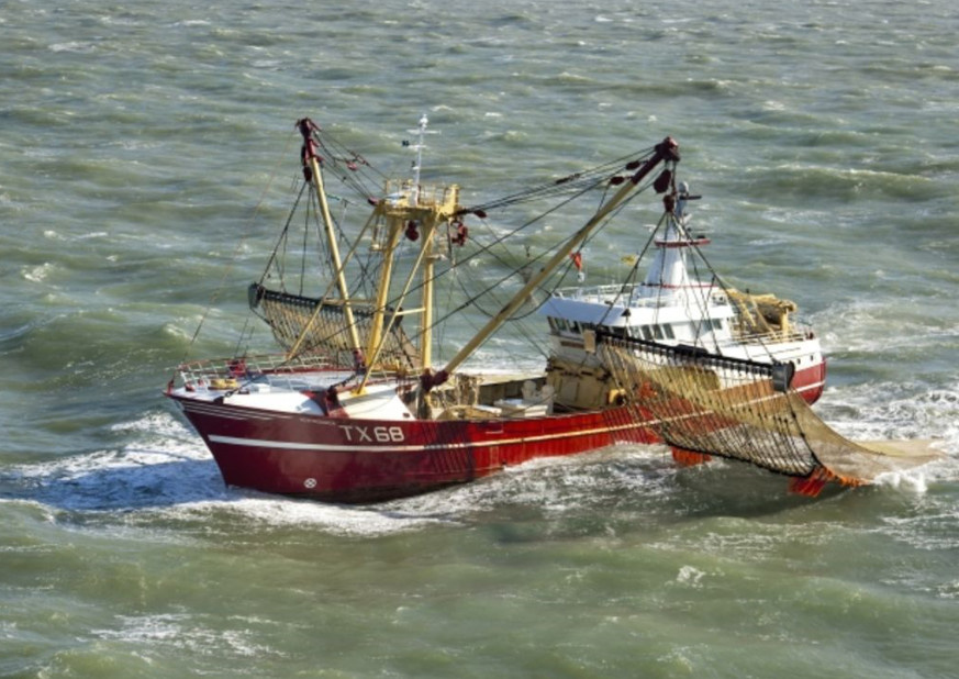 Coup d'arrêt à la pêche électrique