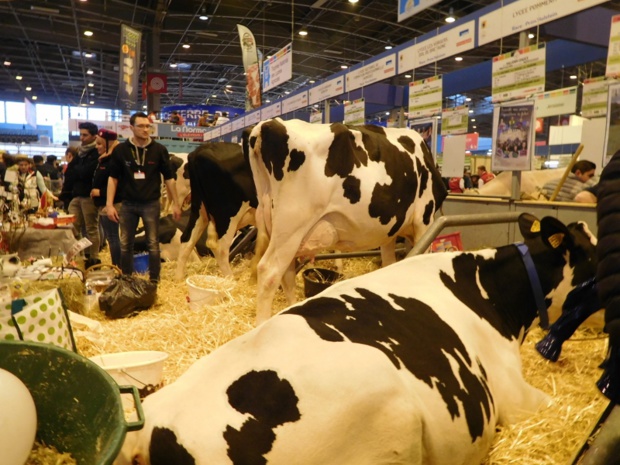 Mes 12 heures passées au Salon de l’agriculture 2018